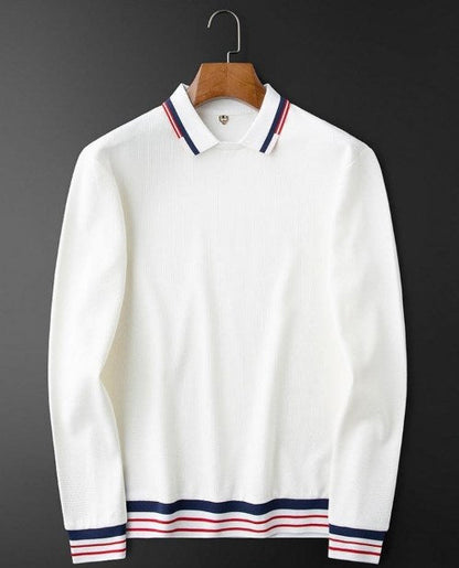 【45% OFF】POLO PREMIUM SEDOSO MANGA LARGA🔥Compra 2, envío gratis🔥