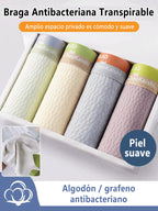 Calzones de Algodón para Hombre Transpirables en color paquete 5 colores (5 piezas)