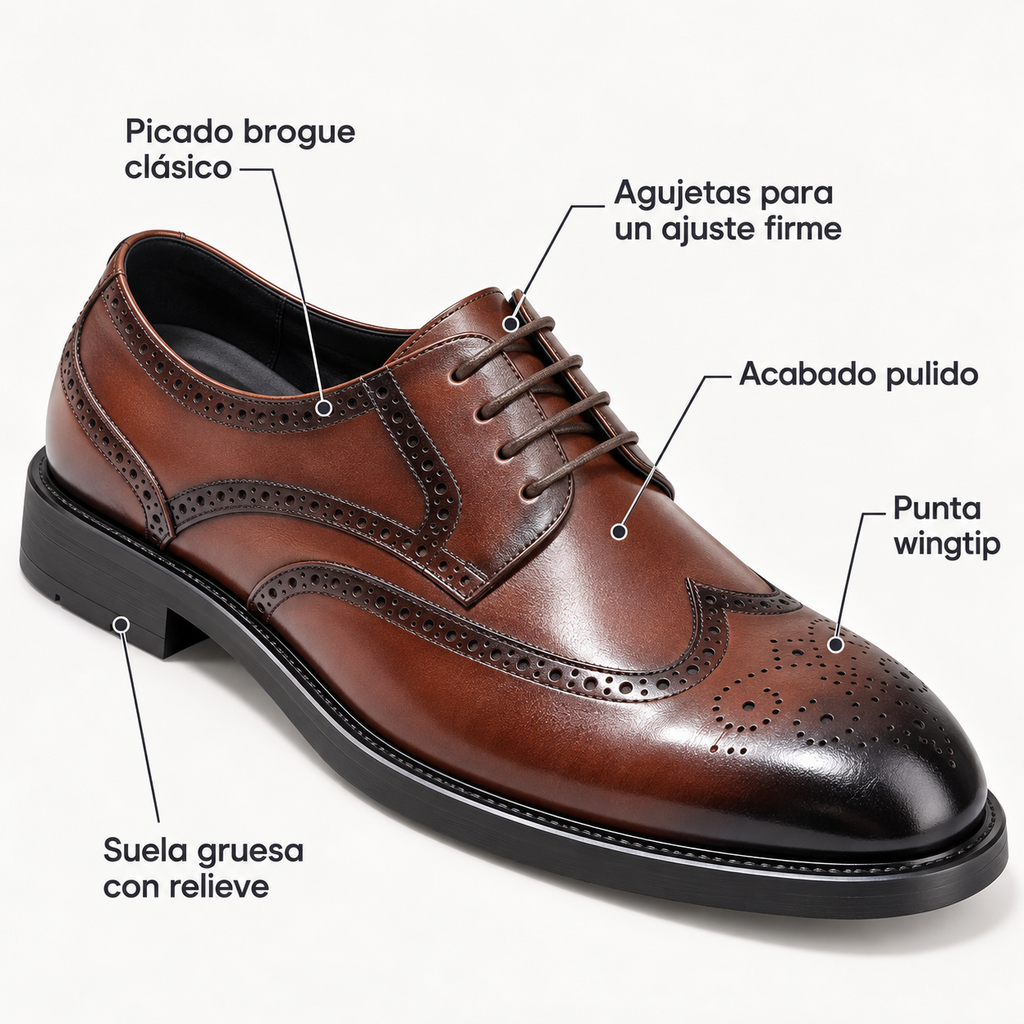 Diagrama del zapato brogue marrón con sus detalles