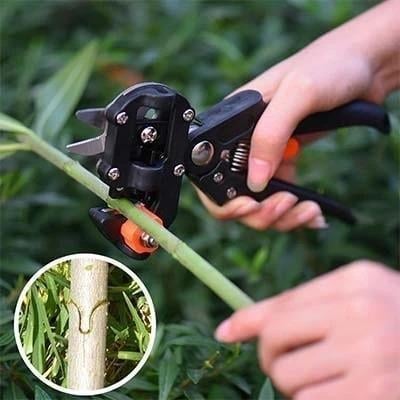 Tijera Injertadora para Árboles Frutales con 3 Cuchillas - vista 2